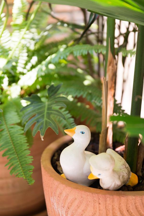 The Tippanet Hotel Chiang Mai (Adults Only) ภายนอก รูปภาพ